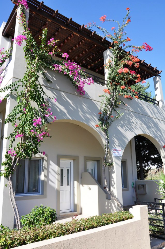 Standard Apartment&Studio Standard Apartment&Studio