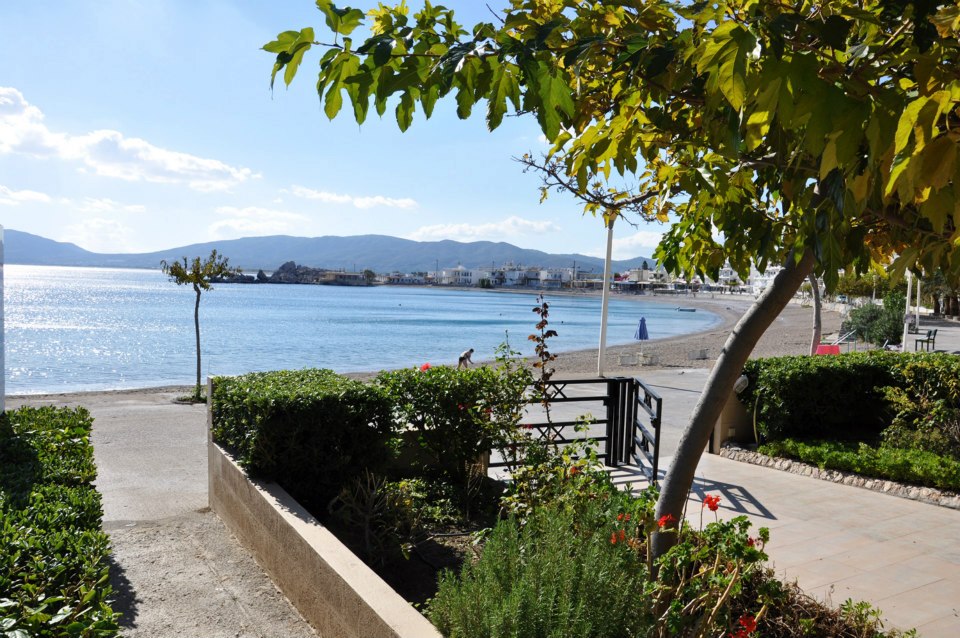 407977_10151254662174181_675390162_n_10151254662174181