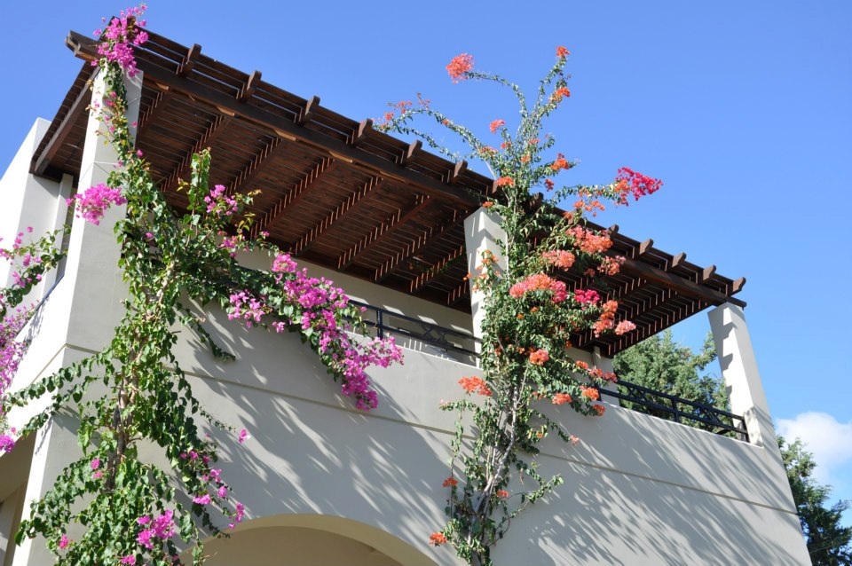 Standard Studio Standard Studio