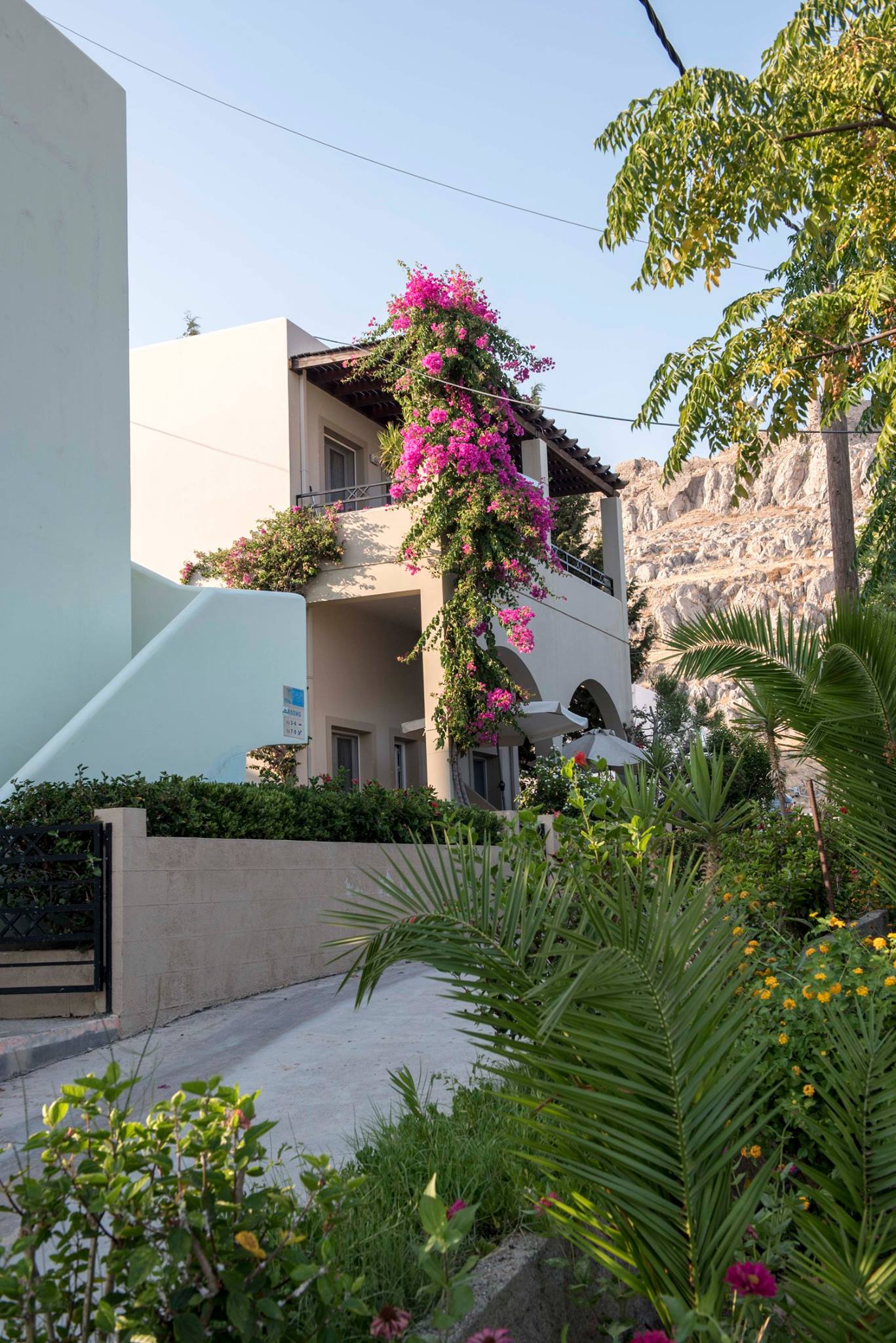 Standard Apartment&Studio Standard Apartment&Studio