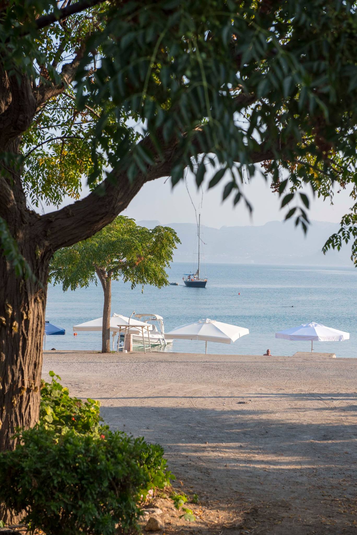 Standard Apartment Standard Apartment