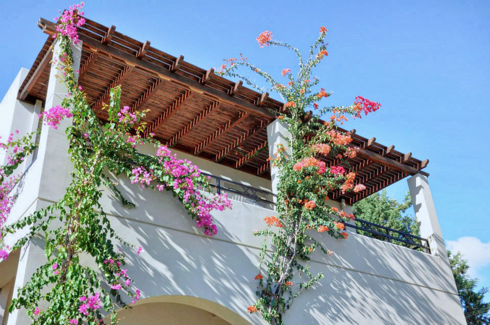 547050_10151254662554181_883425577_n