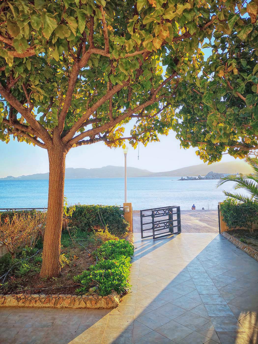 IMG_20181207_162249 Αντιγραφή