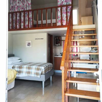 64471742_10157323730069181_4083736410631176192_o 64471742_10157323730069181_4083736410631176192_o