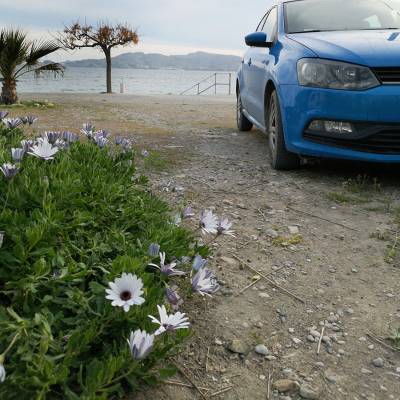 IMG_20190311_171416 IMG_20190311_171416