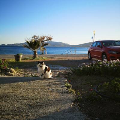 IMG_20190324_173340 IMG_20190324_173340