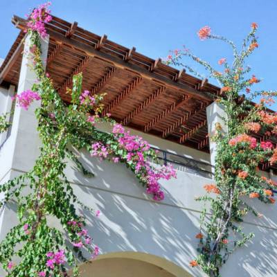 547050_10151254662554181_883425577_n 547050_10151254662554181_883425577_n